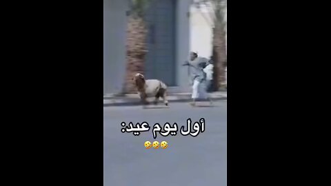 :😂اول يوم العيد