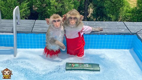 YiYi and YinYin are very happy to swim together