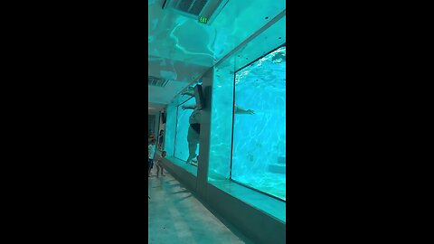 What is This..... 🤔😯😯😱