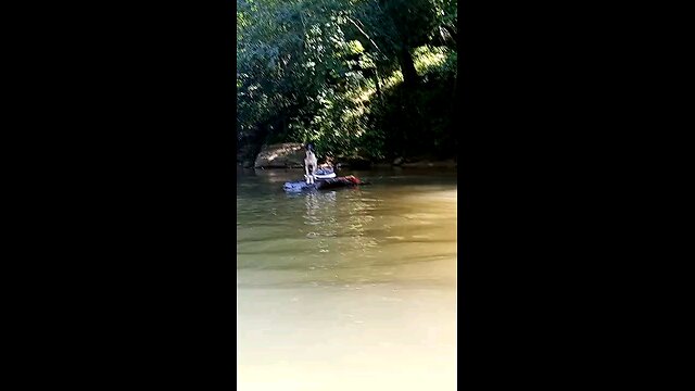 Man teaches dog how to swim