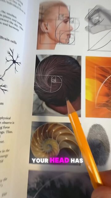 🌸 THE CODE OF CREATION IS WITHIN YOU 👁️