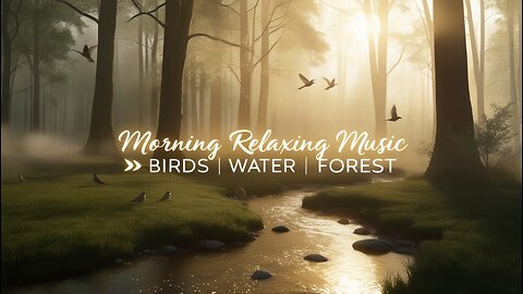 Morning Relaxing Music 🌿 Birdsong, Water & Forest Sounds | Stress Relief & Meditation Music