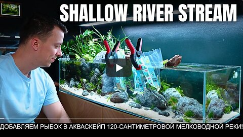 ДОБАВЛЯЕМ РЫБОК В АКВАСКЕЙП 120-САНТИМЕТРОВОЙ МЕЛКОВОДНОЙ РЕКИ!