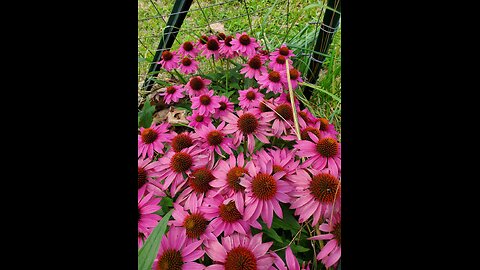 Our Beautiful Life July through October 2025