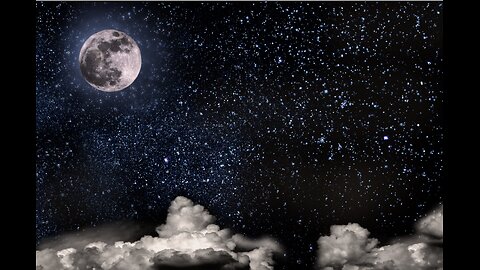 Attempting to Settle from the Poetry Book Insomnia - by Sarah B. Royal