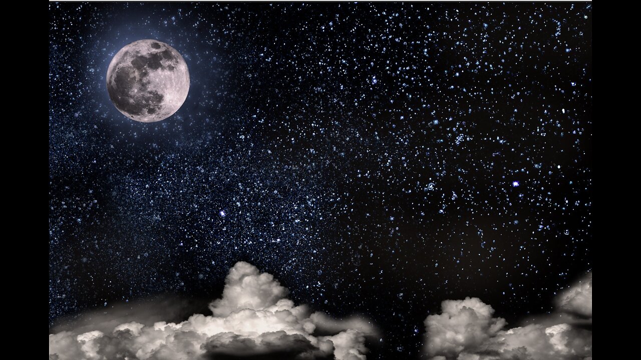 Attempting to Settle from the Poetry Book Insomnia - by Sarah B. Royal