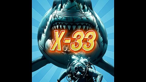 The X-33