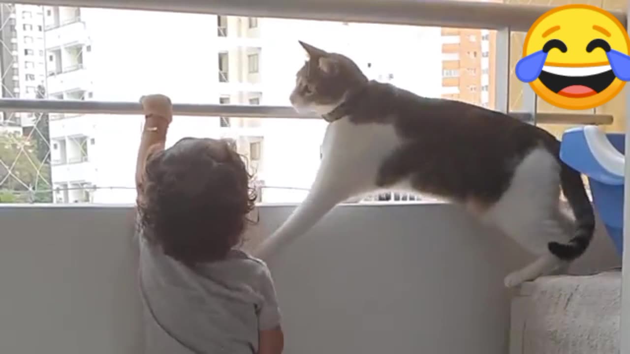 Try to not laugh
