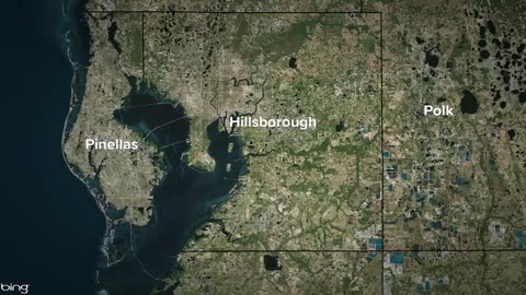 FDOT denies St. Petersburg's request to keep street murals