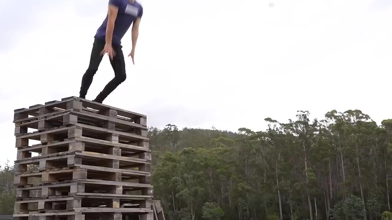 How do that animal 2