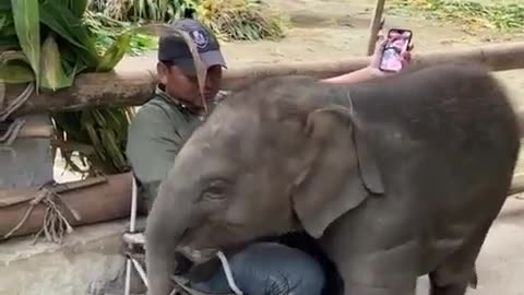 😍🐾 Sometimes All You Need is a Big Hug! Heartwarming & Funny | FunFM