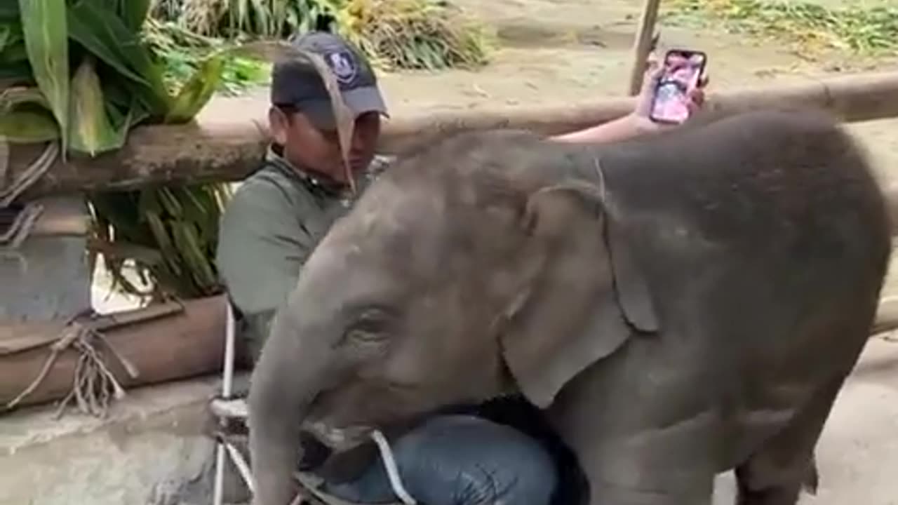 😍🐾 Sometimes All You Need is a Big Hug! Heartwarming & Funny | FunFM