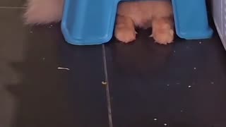 😂🙈 You Won't Believe This Epic Hide Fail! | FunFM