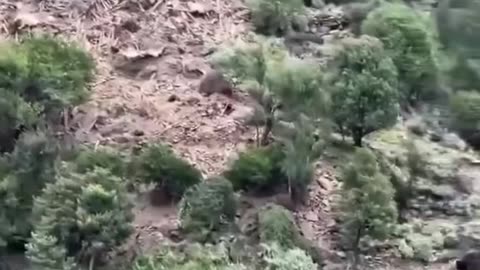 Berisha shpreh ngushëllimet: Qeveria nuk dërgon ndihma për familjarët e afganëve