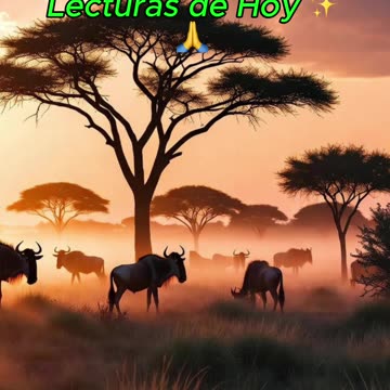 🙏✨ Oración Inspirada en las Lecturas de Hoy ✨🙏