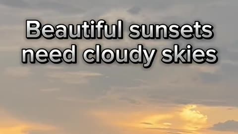 Yes, they do!.hd