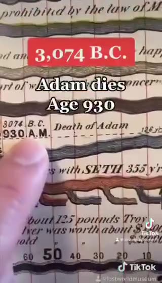 History began with Adam ?
