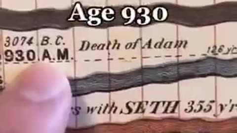 History began with Adam ?