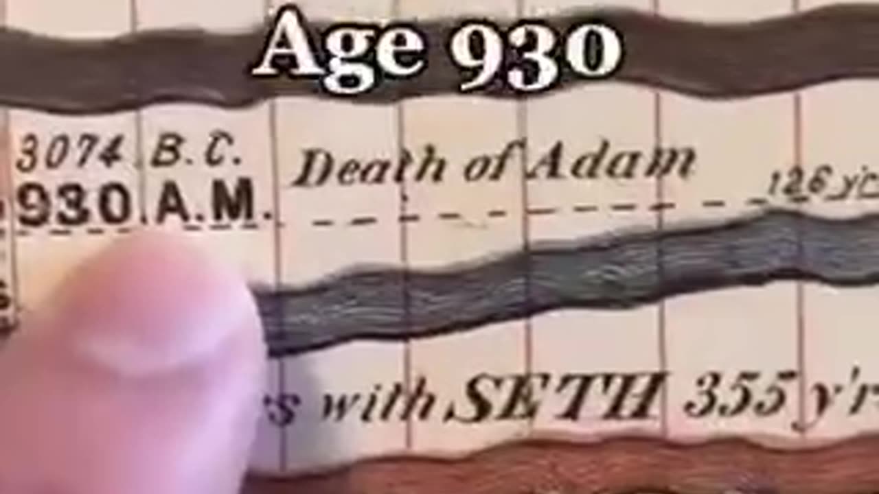 History began with Adam ?
