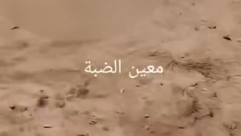 Footage shows unretrieved bodies of Gazans at Netzarim “aid” zone