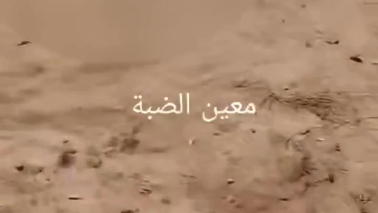 Footage shows unretrieved bodies of Gazans at Netzarim “aid” zone