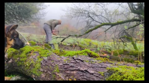 Wilderness Shelter Guide: Survive and Thrive with Bushcraft