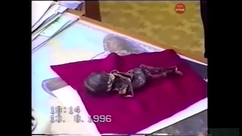 She Found an Alien Baby & Cared for Him for a While