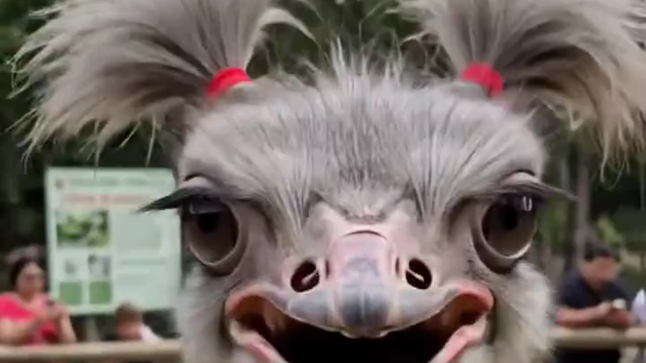 Funny Selfie