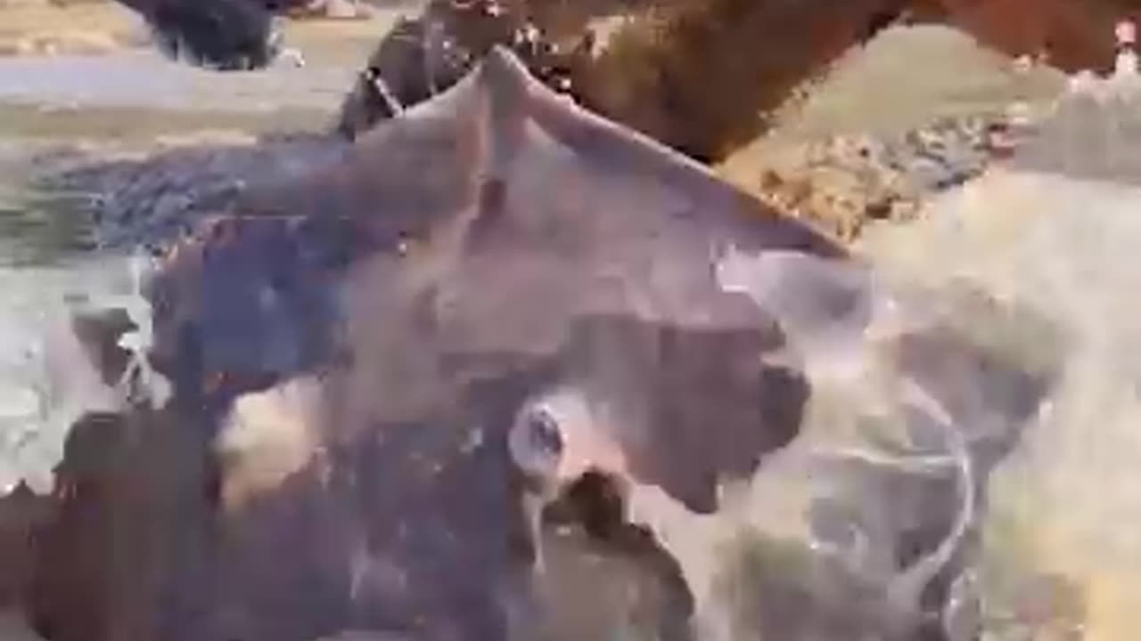 Shocking: Unique Fishing Style. Best Fishing Method . big fish Catch in river de