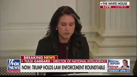 DNI Gabbard outlines an insidious “baby trafficking” operation being carried out