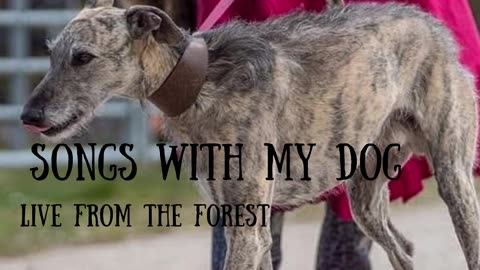 Songs With My Dog (live recordings while out wandering))