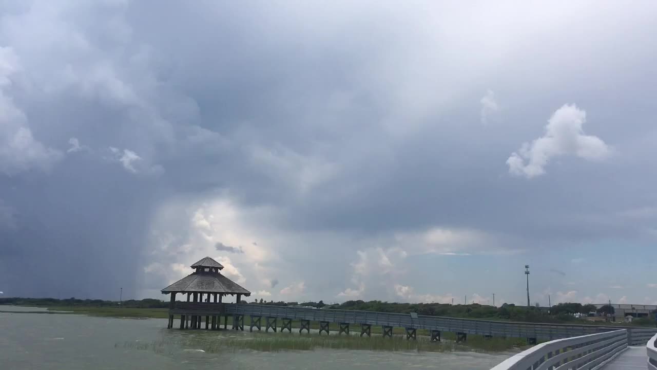 Waterspout & bird
