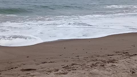 Turning Tide