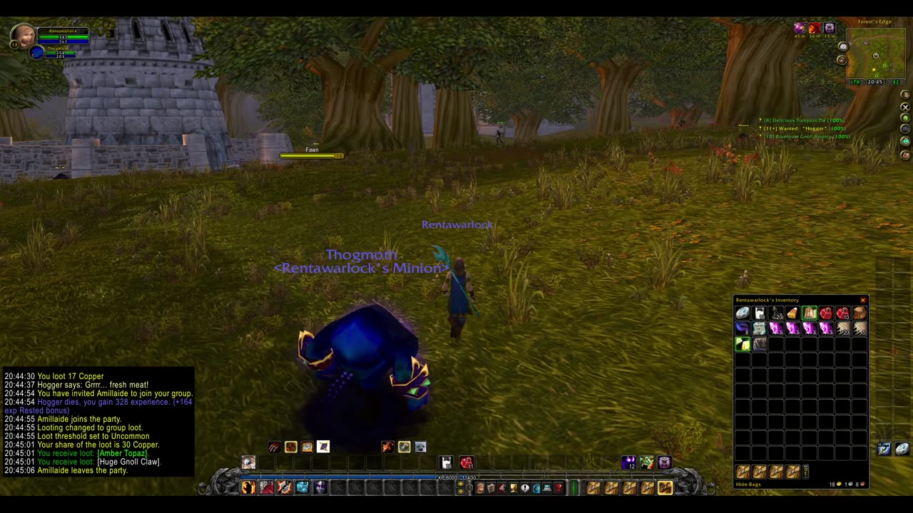 Turtle wow - Summoner leveling - rentawarlock - part 3