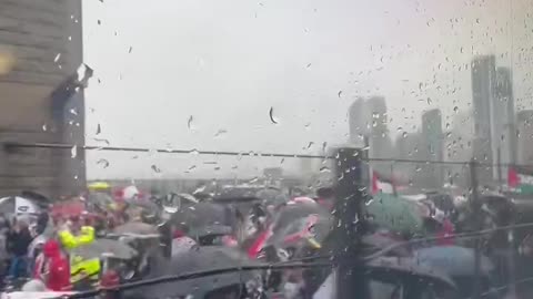 WILD FOOTAGE of Sydney Harbour Bridge
