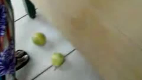 Crushed in the Store