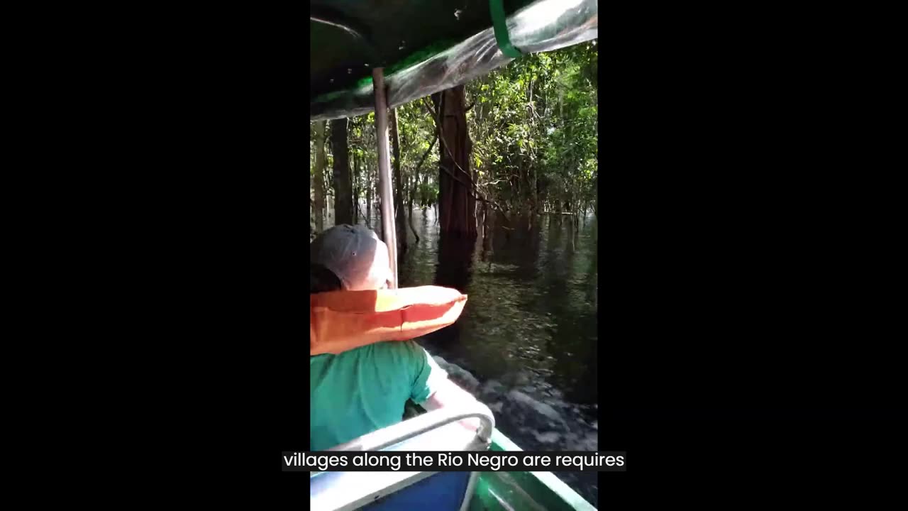 Amazon Jungle: Lake Acajatuba & Tucan Lodge