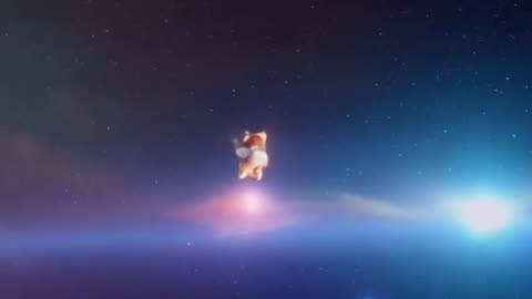ElonXCat The Meme Coin Journey Among the Stars 🚀🌟 || ELONXMUSK & SPACEX MEME COIN ||