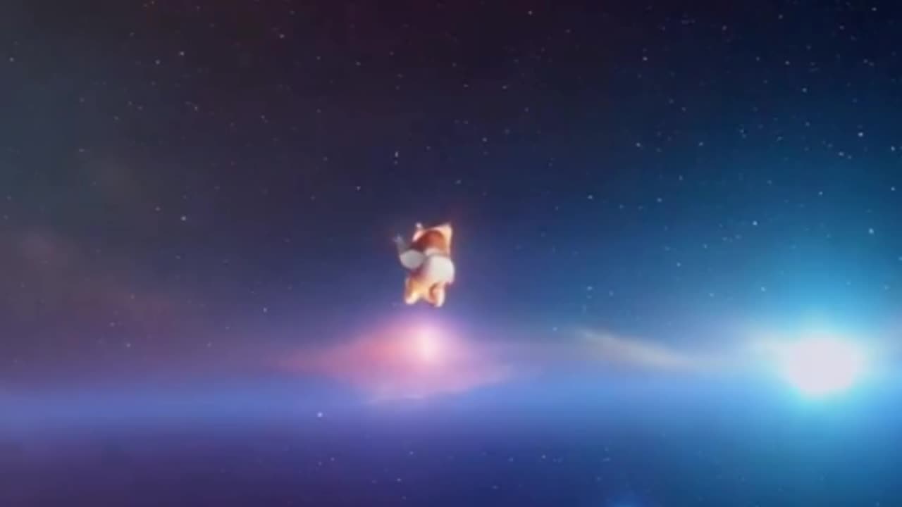 ElonXCat The Meme Coin Journey Among the Stars 🚀🌟 || ELONXMUSK & SPACEX MEME COIN ||