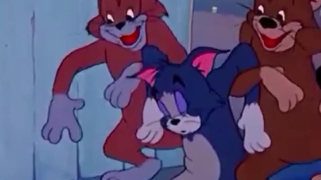 funny funny videos funny jokes funny animals funny memes funny movies funny bone
