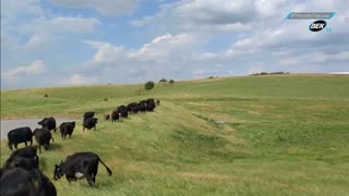 Trent Loos in the Morning 7/16/2025