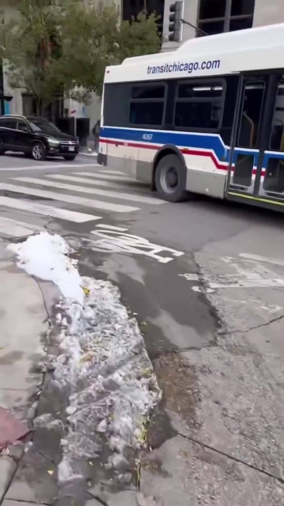 A crazy woman sat in front of a bus in Chicago so it cant move, then she starts yelling