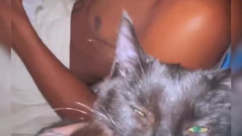 😂 The Little Growl ( 🤣) | FunFM