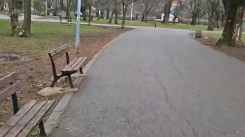 DotcomBaron Livestream from Sofia Bulgaria