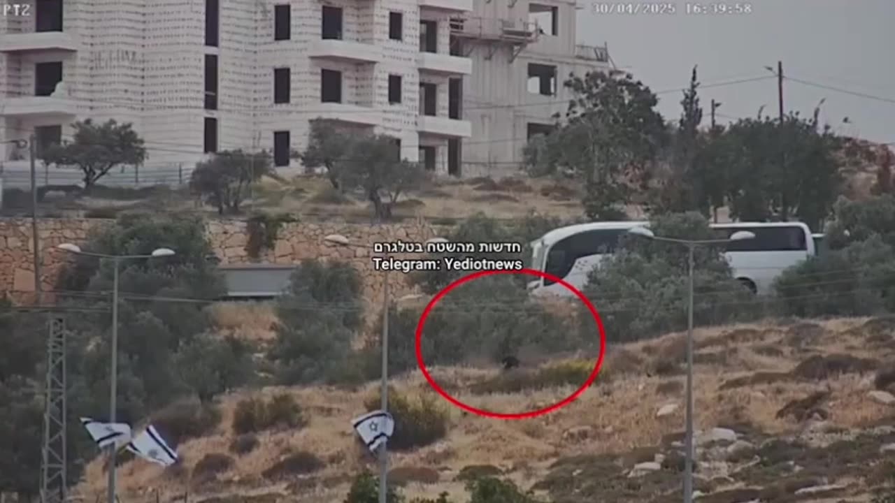 Documentation of yesterday's arson in the Jerusalem area