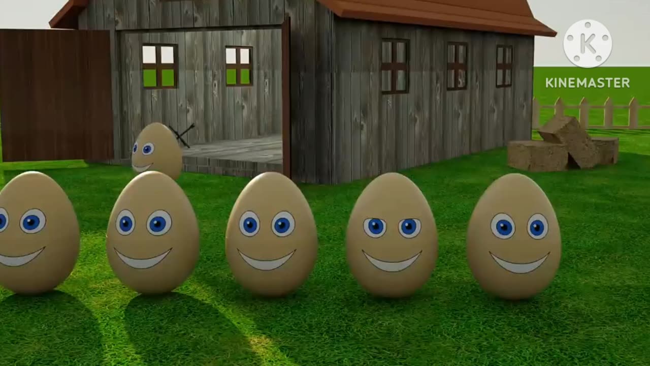 Stupid eggs video
