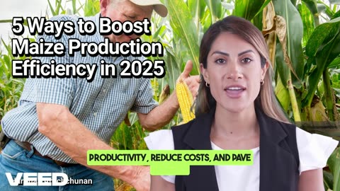 5 Ways to Boost Maize Production Efficiency in 2025