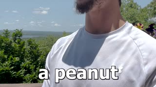 Granola Bar
