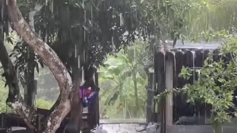 Rainy Day Funny Story for Kids ☔😂 | Fun with Frog & Bird | #shorts #learntoons