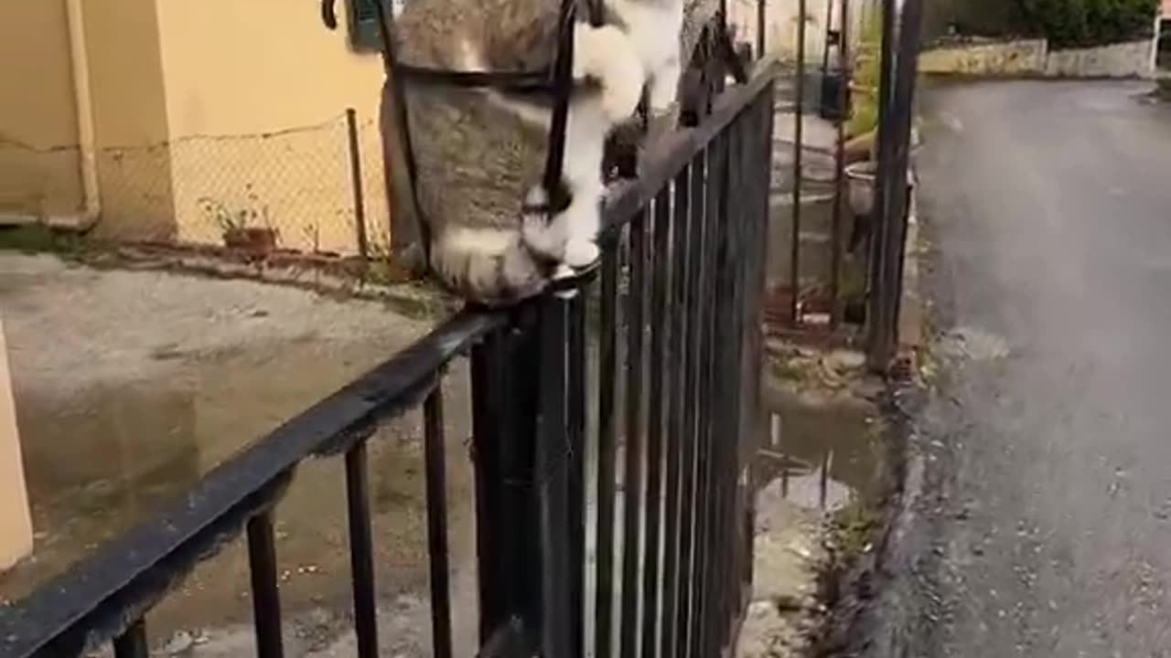 Don't mess with the Gatekeeper!